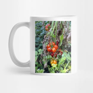 A toothed tomato Mug